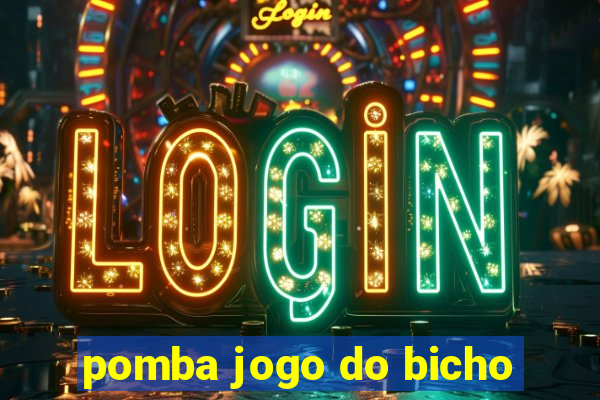 pomba jogo do bicho