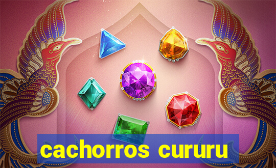 cachorros cururu