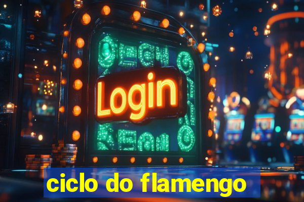 ciclo do flamengo