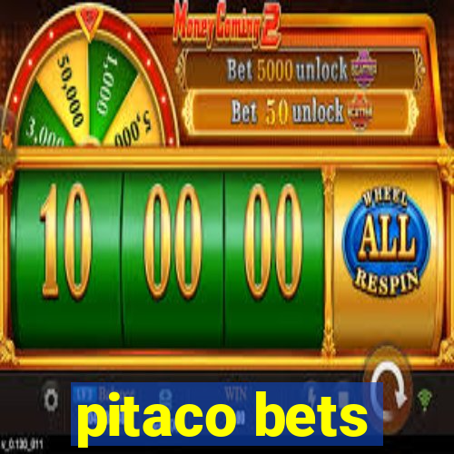 pitaco bets