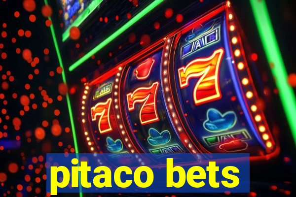 pitaco bets