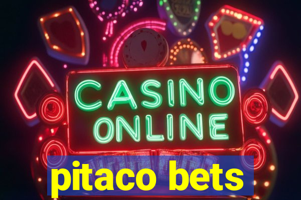 pitaco bets