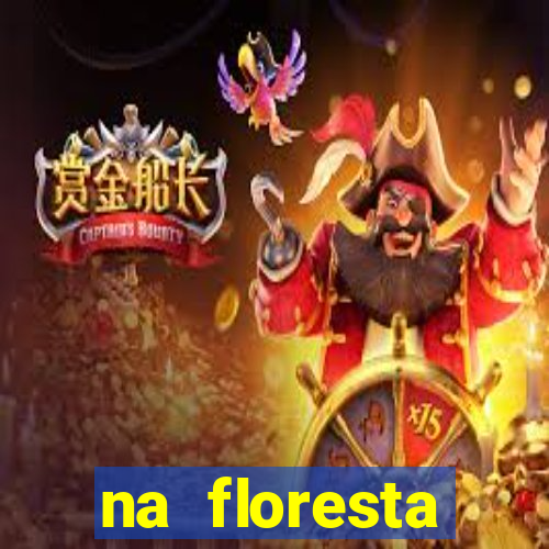 na floresta encantada meme