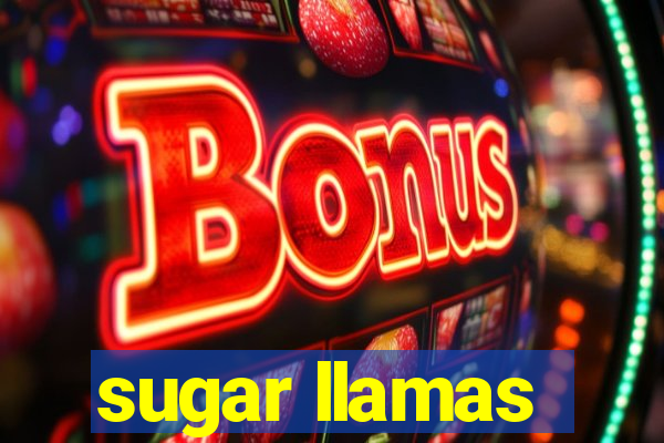 sugar llamas