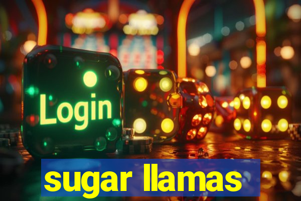 sugar llamas