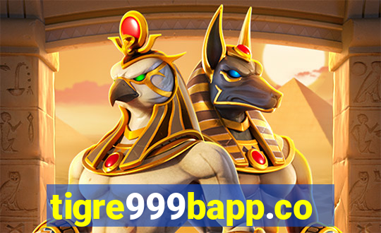 tigre999bapp.com