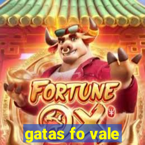 gatas fo vale