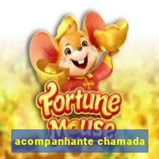 acompanhante chamada