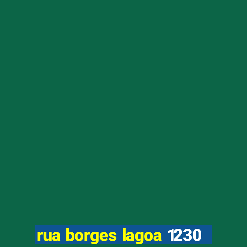 rua borges lagoa 1230