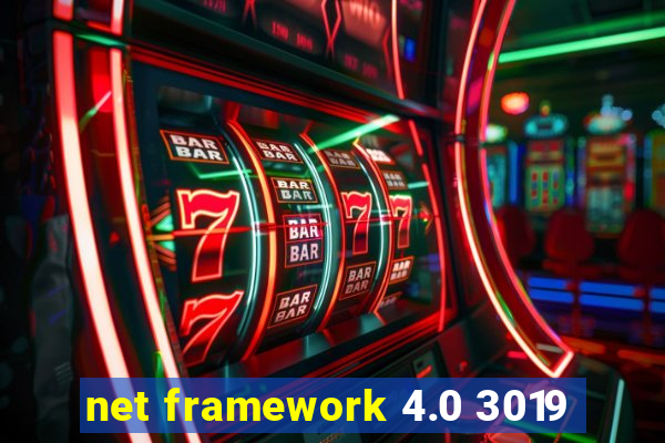 net framework 4.0 3019