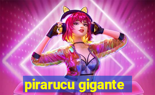 pirarucu gigante