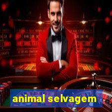 animal selvagem