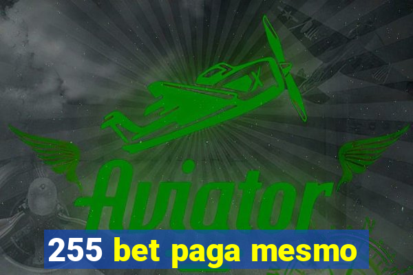 255 bet paga mesmo