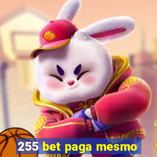 255 bet paga mesmo