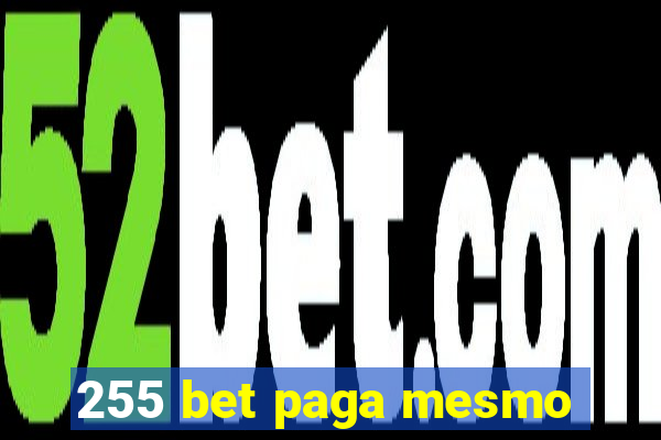 255 bet paga mesmo