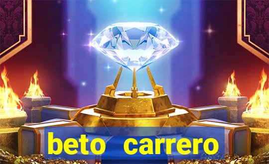 beto carrero cidades proximas