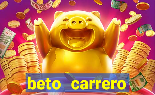 beto carrero cidades proximas