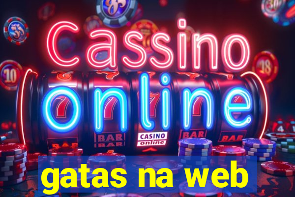 gatas na web