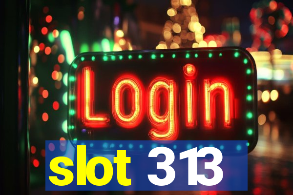 slot 313