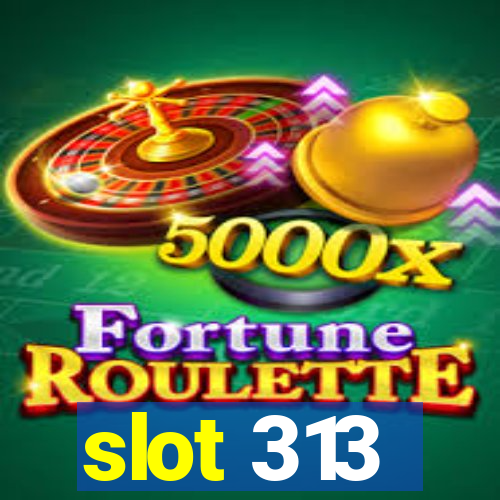 slot 313