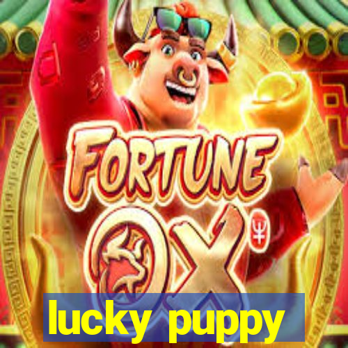 lucky puppy