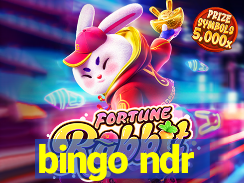 bingo ndr