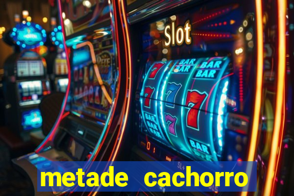 metade cachorro metade gato