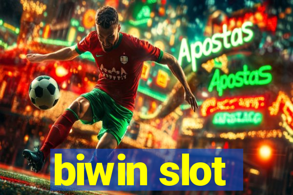 biwin slot