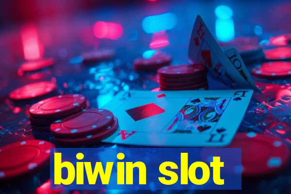 biwin slot